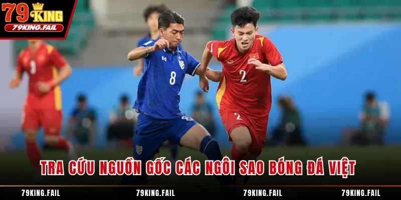 Tra cứu nguồn gốc các ngôi sao bóng đá Việt